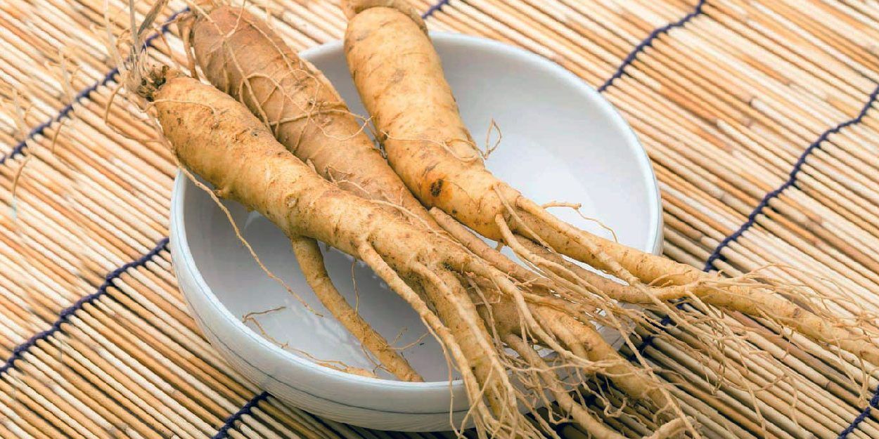 Korejski-ginseng